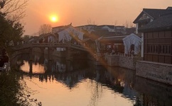 八重神子强行打扑克又疼又叫